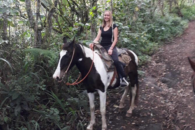 5-Hour Small-Group Horseback Riding Experience in Baños - Overview and Experience Details