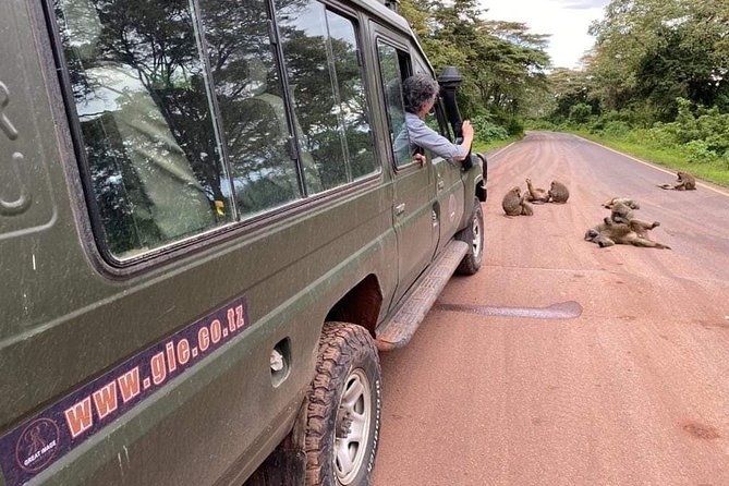 5days Tarangire,Serengeti,Ngorongoro Crater and Lake Manyara National Park