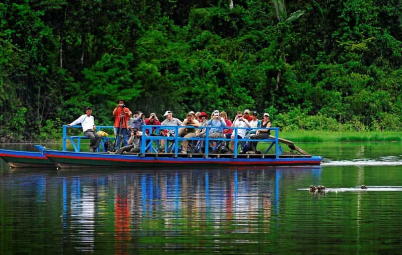 5D||Exploring the Fauna of the Candamo: In Search of Mammals