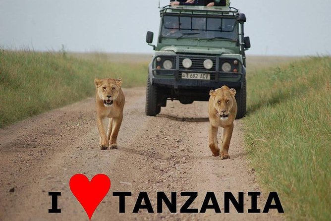 6- Day Adventure Lodge Safari to See Migration