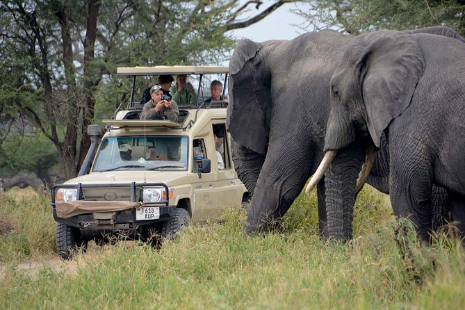6-Day Tanzania Camping Safari: Lake Manyara, Serengeti, Ngorongoro Cater and Tarangire National Park From Arusha