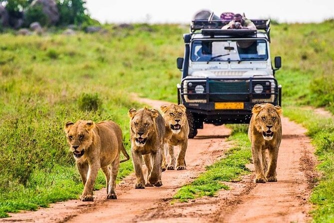 6-Day Unforgettable Tour in Tanzania