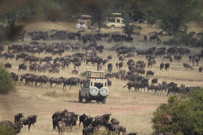 6 Days Enchanting Tanzania Safaris – Mid Range Safari