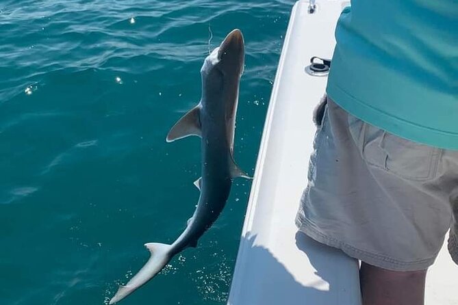 6 Hour Private Fishing Tour in Sarasota With Master Captain Bill - Meet Master Captain Bill