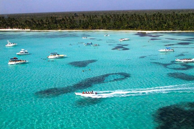 6 in 1 Full Day Isla Saona Tour and Snorkel in Natural Pool Mangroves Cap Cana