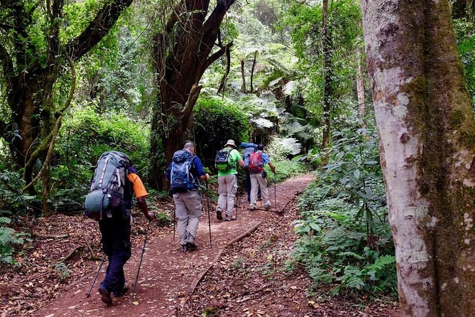 7-Day Kilimanjaro Climb–Lemosho R. Scenic Adventure to the Summit