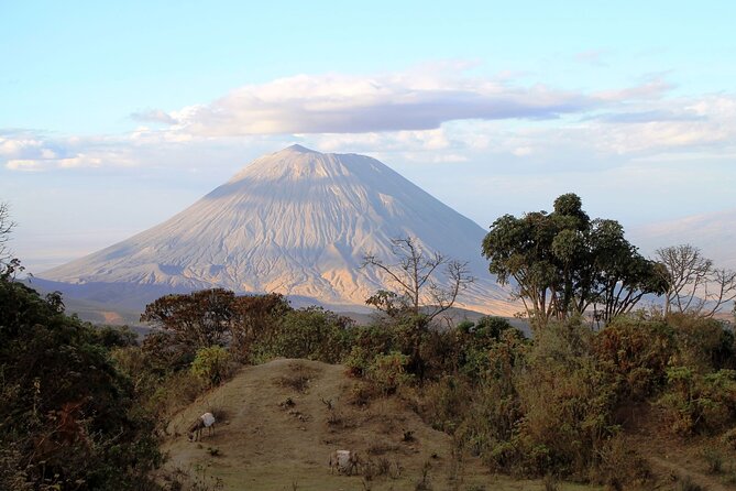 7 Days Cultural and Wildlife Safari