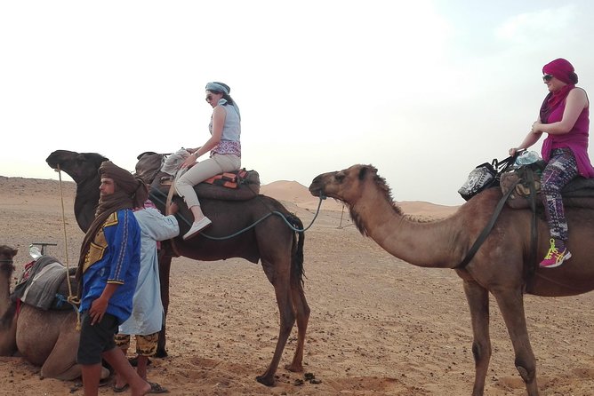 7 Night Sahara Caravan Road - Explore Marrakechs Vibrant Medina