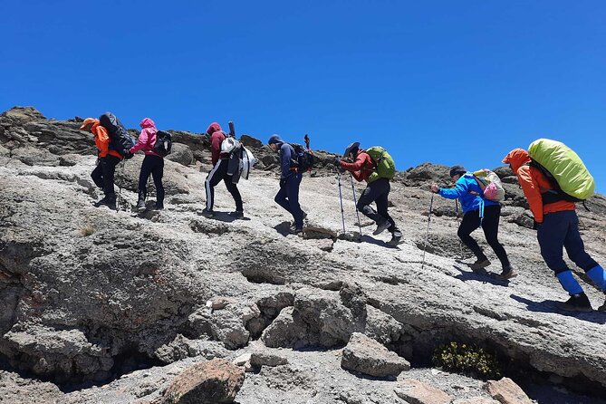 8 Day Mount Kilimanjaro Trekking Lemosho Route - Inclusions