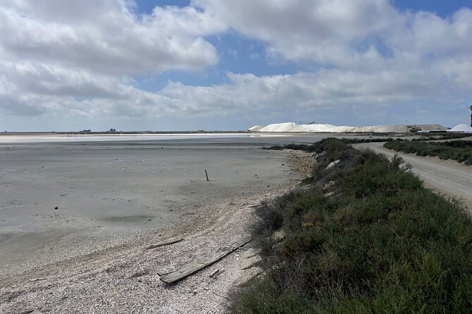 8 Hours Visit to the Camargue and the Salins D’Aigues-Mortes