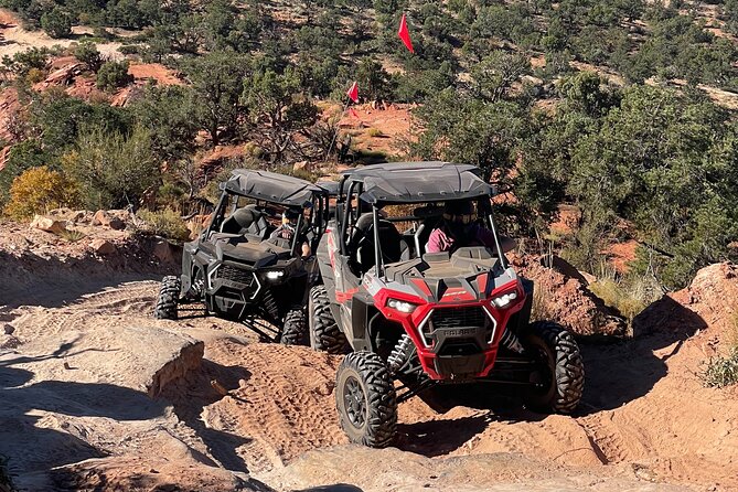 8 Hr RzR Rental – The Latest Model Polaris RzRs