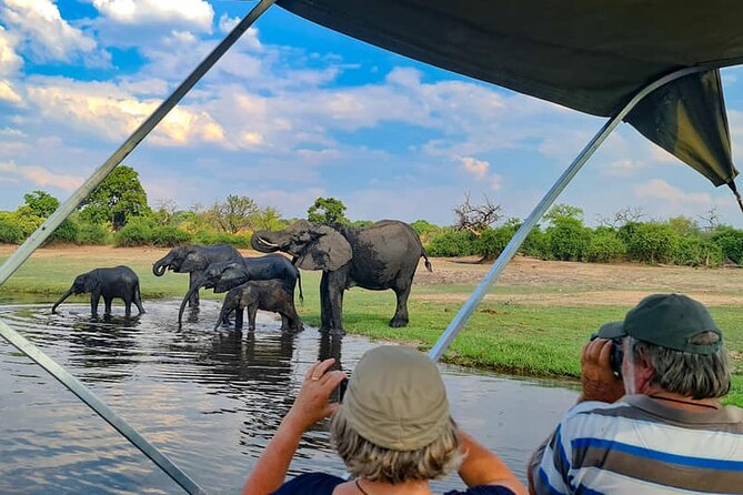 A Full Day Chobe National Park Safari Trip From Victoria Falls