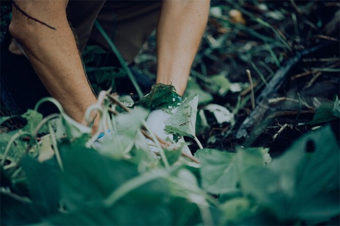 A Gastronomic Tour Exploring the Cycle of Nature and Food