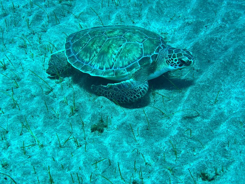 Abades: Guided Snorkeling Tour With Photos