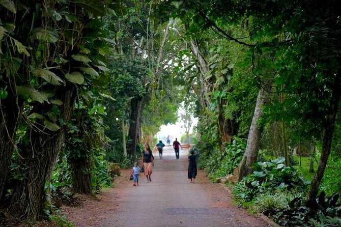 Aburi Botanic Gardens and Boti Falls Full-Day Private Tour