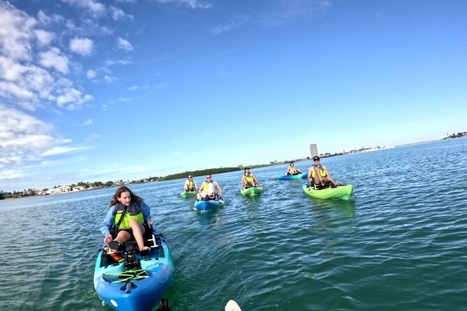 Adventure and Wildlife Watch Kayak Rentals in Sarasota - Explore Lido Key Mangrove Tunnels