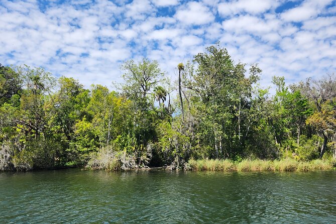 Afternoon Crystal River Ecological Boat Tour - Tour Overview