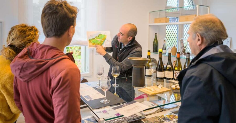 Afternoon – Loire Valley Wine Tour From Tours or Amboise
