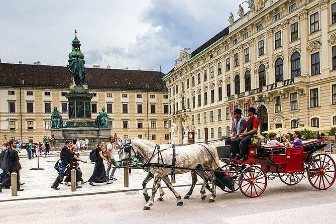 Airport Transfer: Vienna to Vienna Airport VIE by Luxury Car - Service Overview