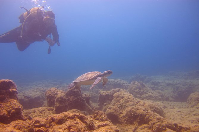 Alanya: Scuba Diving Experience for Beginners
