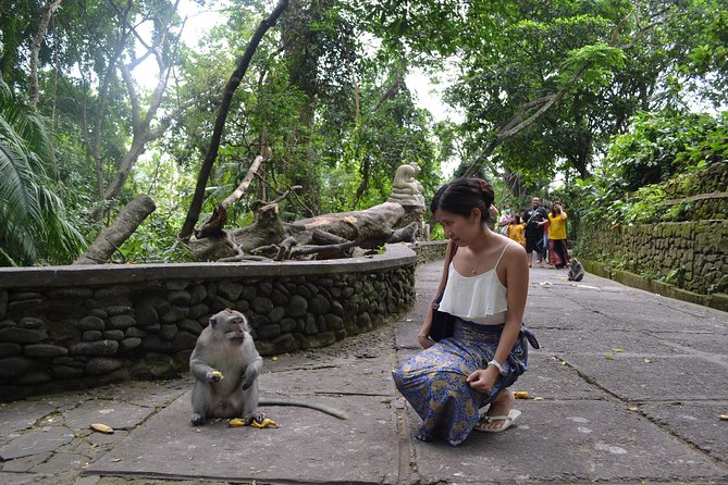 All BEST NATURE, Culture and Heritage: Private Tour in UBUD - Exploring Ubuds Rich Heritage