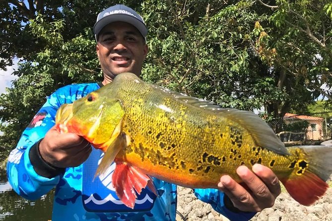 All Day Peacock Bass Fishing Trip Near Key Largo