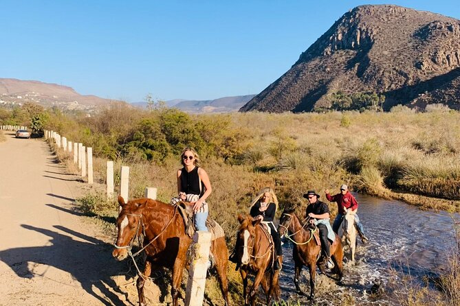 All-Inclusive Horseback Riding on the Beach Review