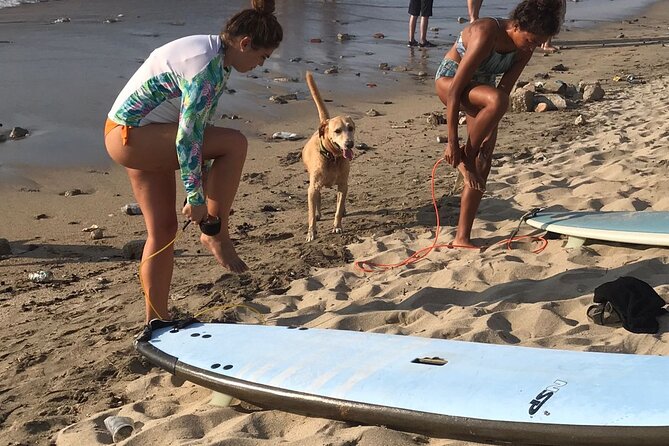 Almar Surf & Skate School: Surflessons in Bahia De Banderas