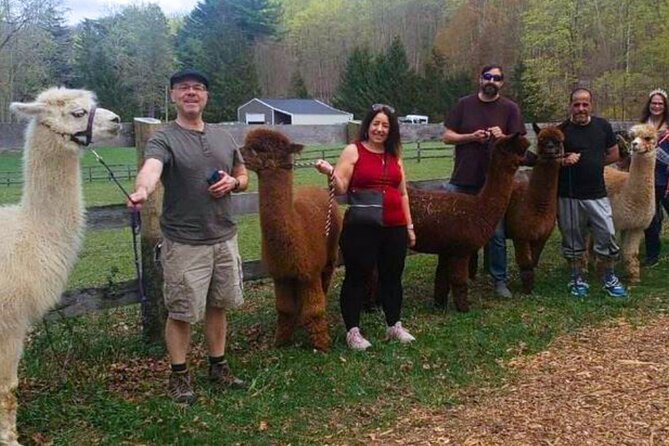 Alpaca and Llama Trek in Pleasant Valley - Location and Directions