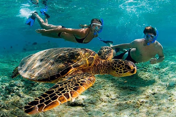 Amazing Adventure in Akumal. Swim With Turtles and Discover Tulum Ruins.