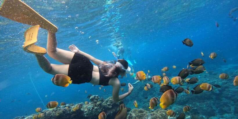 Amazing Cham Island Snorkeling Tour From Hoi An or Da Nang - Tour Overview and Pricing