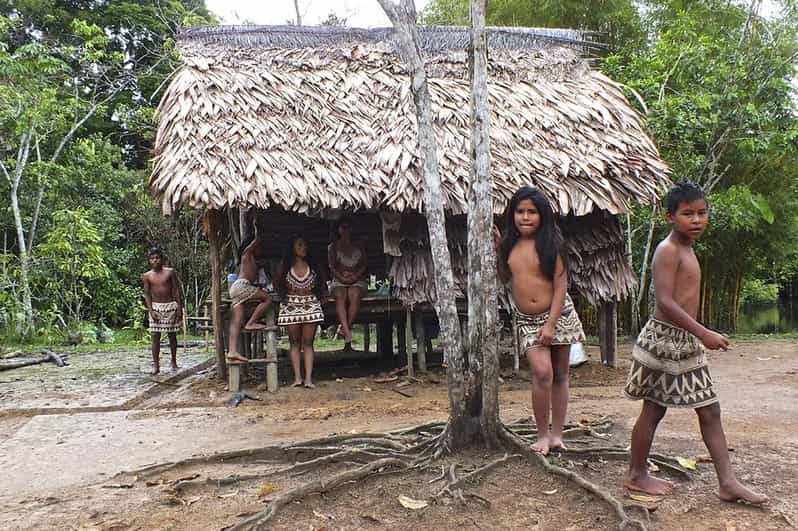 Amazon Expedition Discover the Mysterious Jungle in 5D/4N