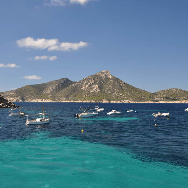 Andratx: Boat Tour to Dragonera Island + Sant Elm