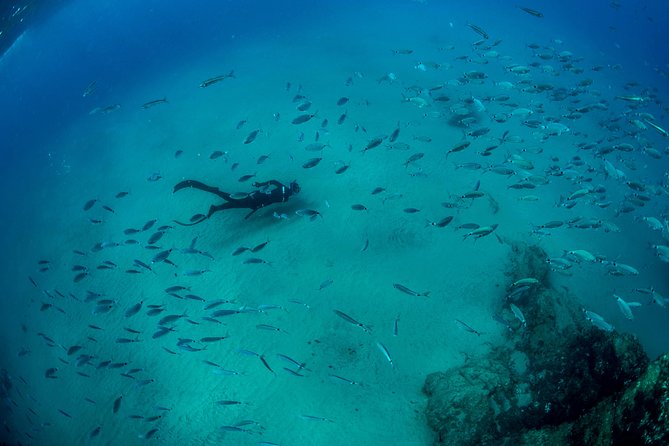Apnea Discovery