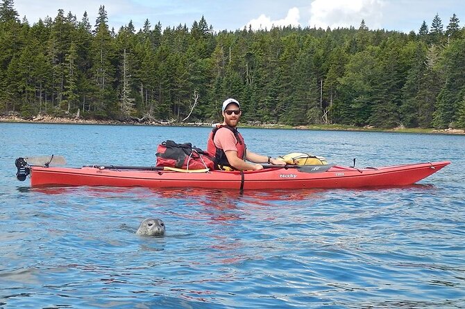 Aqua Safari Kayak Tour Departing Southwest Harbor