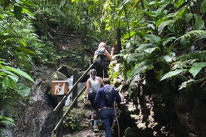 Arenal Jungle Trekking & Cultural Experience