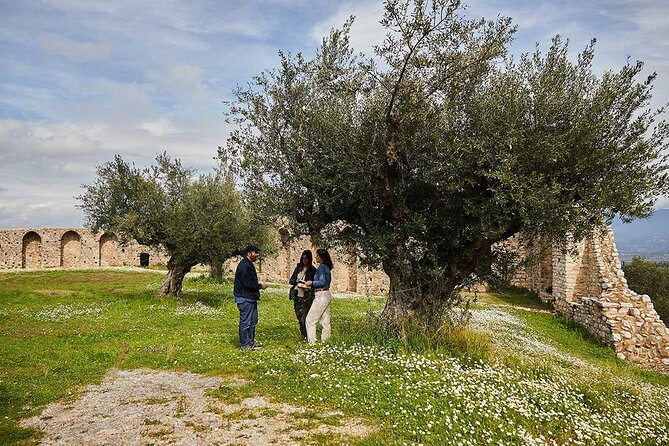 Argo Cultural Arts and Tastings Private Tour