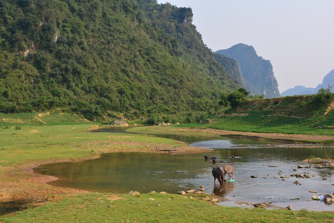 Around Phongnha With the Local