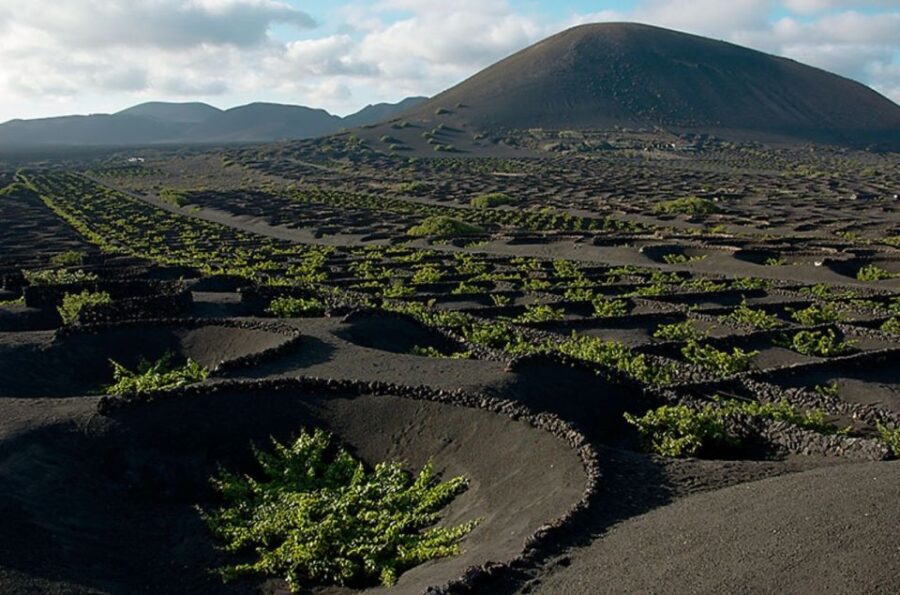 Arrecife/Playa Blanca: Timanfaya National Park Area Day Tour
