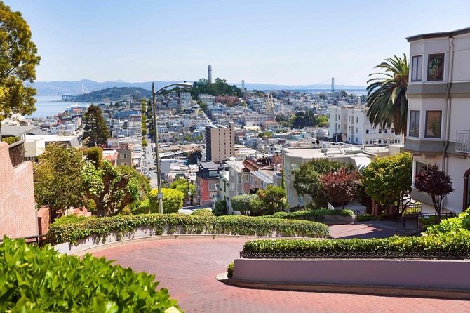 Arrival Private Transfer: Airport SFO to San Francisco in Luxury Van - Overview of Arrival Private Transfer Service