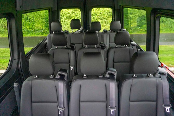 Arrival Transfer Dublin Airport to Dublin City by Van or Minibus - Vehicle Types and Capacity
