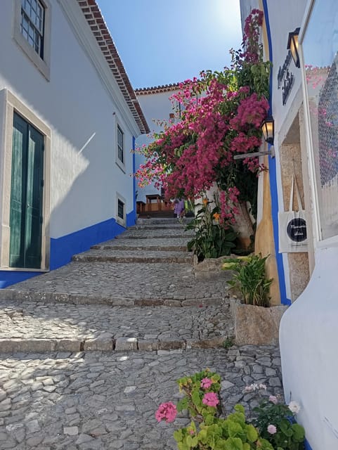 Aveiro, Obidos, and Cabo Da Roca: Day Trip/Transfer to Lisbon