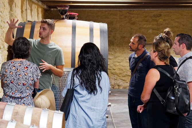 Avignon & Chateauneuf Du Pape Wine Tour - Tour Overview