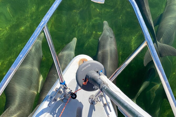 Backcountry Catamaran Bayside Sailing in Key Largo
