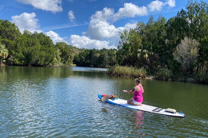 Backland Alligator Electric Paddle Tour - Experience Highlights