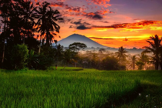 Bali Ubud Hotel Transfer Review - Service Overview