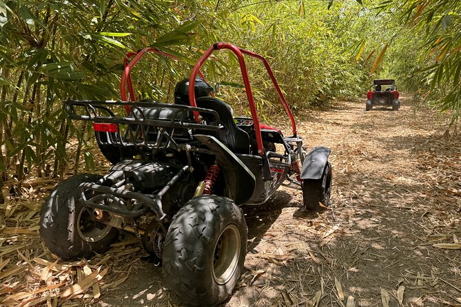 Bamboo Dune Buggy Tour - Tour Overview and Details
