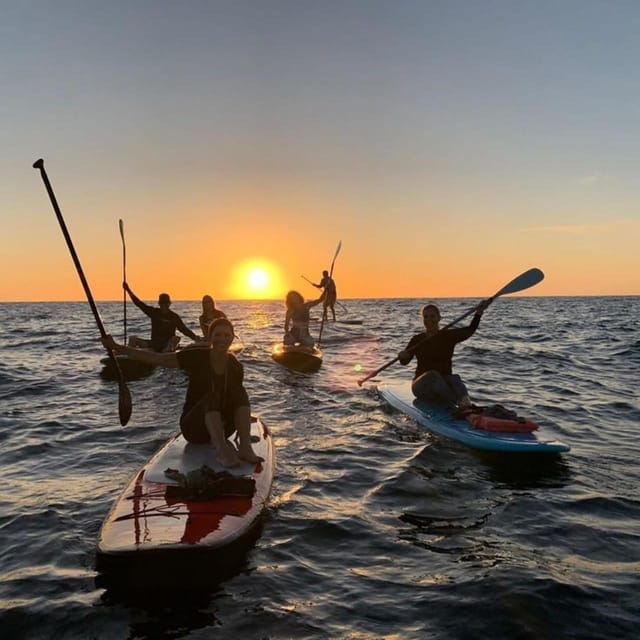Barcelona: Sunrise & Sunset Paddle Surf Experience - Overview and Pricing
