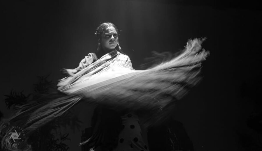 Barcelona: The Laietana Flamenco Show Ticket - Captivating Backdrop for the Flamenco Experience