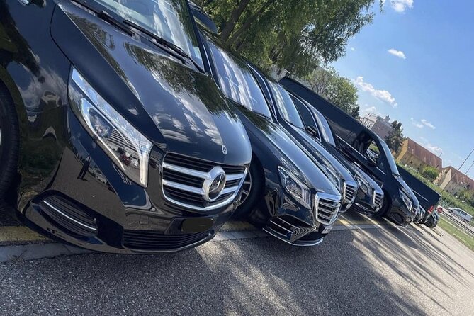 BaselAirport to Lucerne or Lucerne to BaselAirport PrivatTransfer - Transfer Details